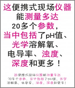 Chinese-Mandarin script