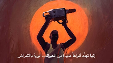 Arabic-Subtitling-UN_sm