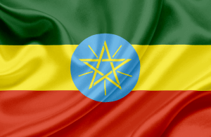 Amharic voice-overs