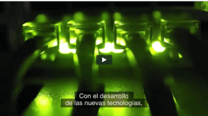 LA Spanish Subtitling