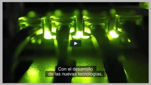 LA Spanish Subtitling
