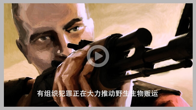 Chinese voice-over and subtitling