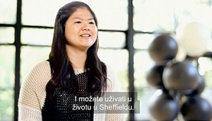 subtitling service