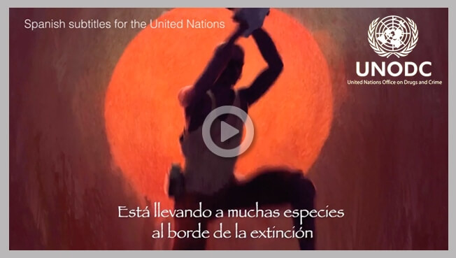 The United Nations Office on Drugs and Crime Subtitling