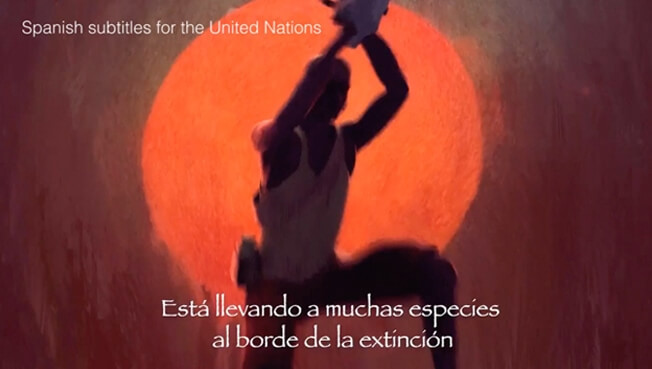 Spanish Subtitling