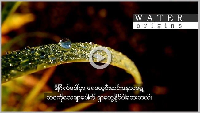 Burmese subtitles