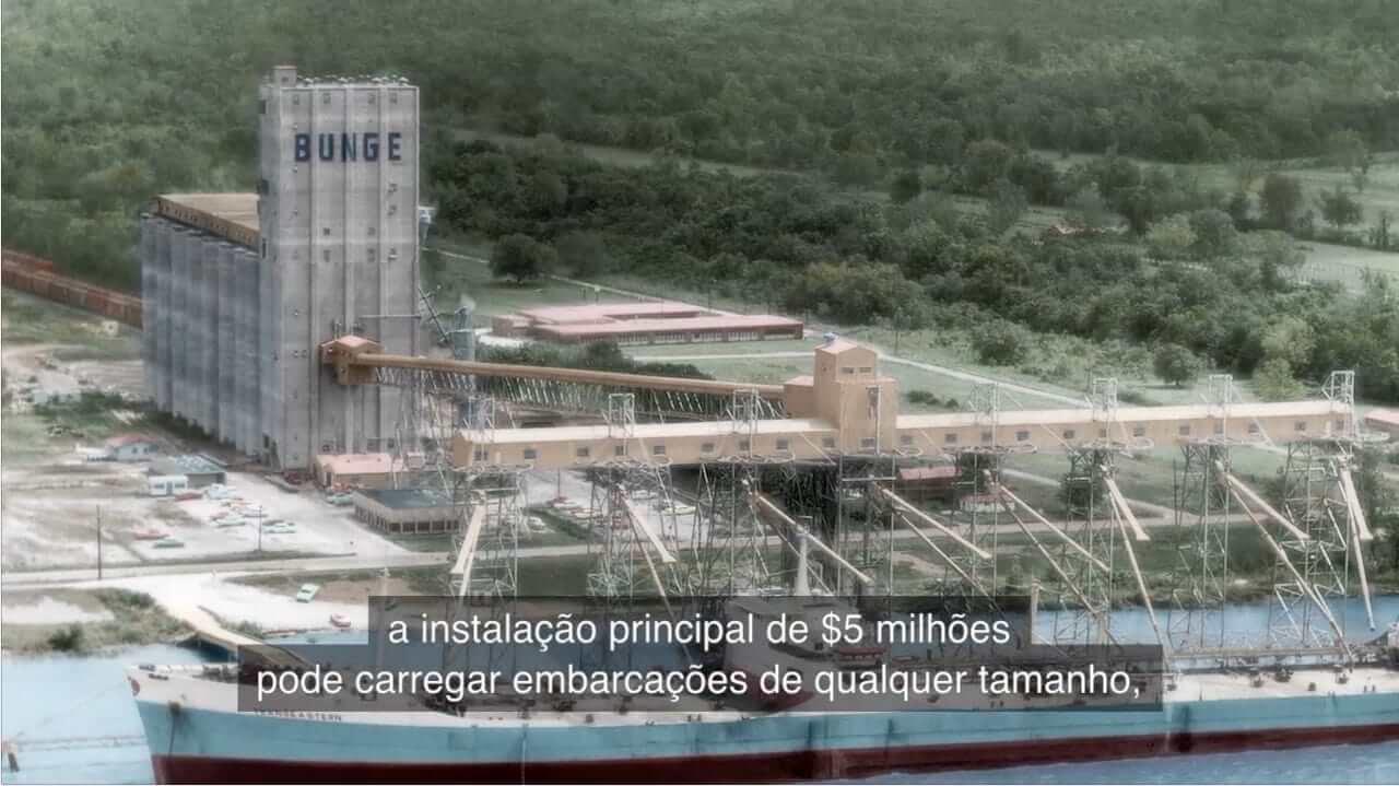 Brazilian Portuguese Subtitling
